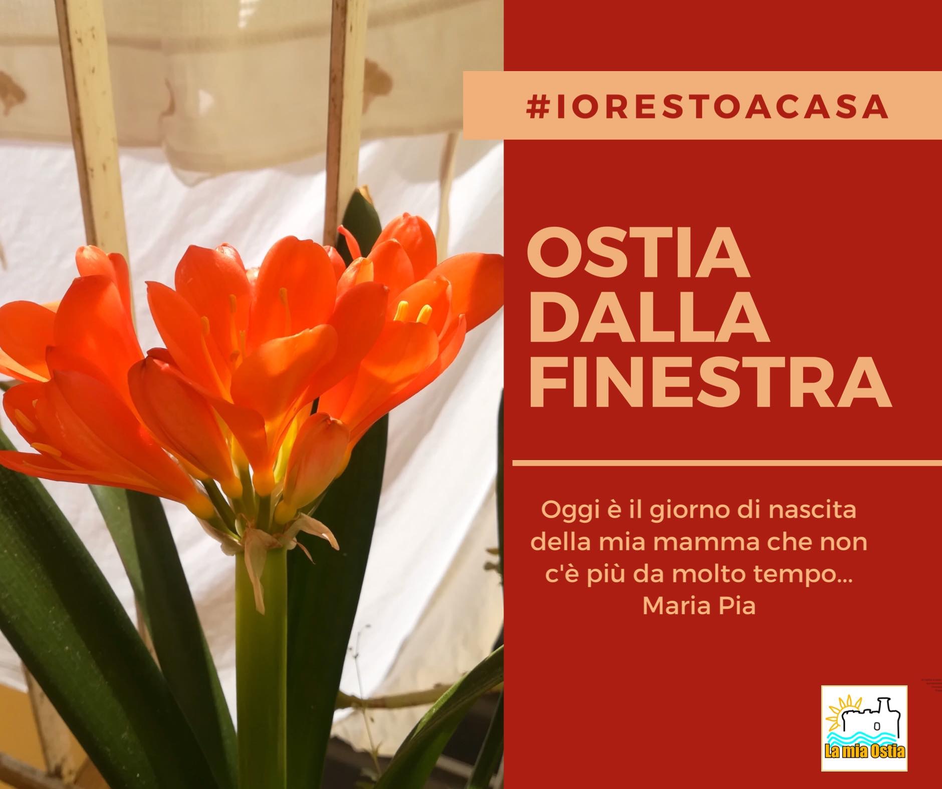 Ostia dalla finestra: mese di aprile